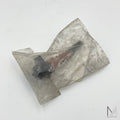 Mercedes-Benz W140 Gestaenge Automatikgetriebe NOS – A1402700665